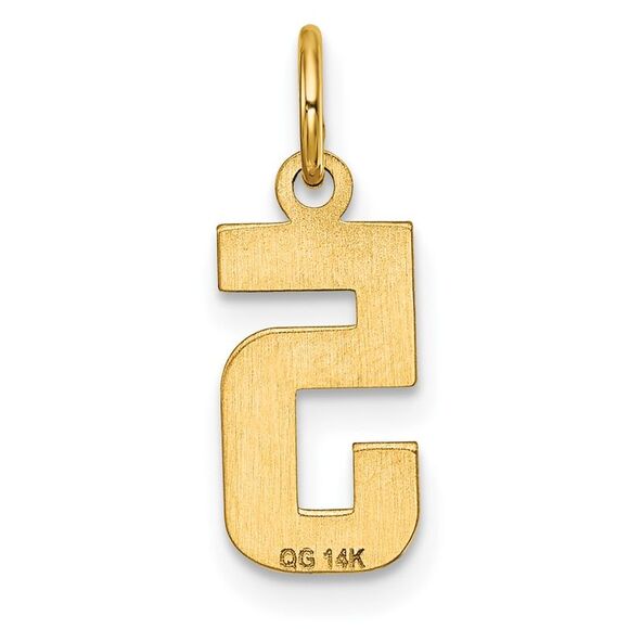 14k Yellow Gold, Varsity Collection, Small D/C Pendant Number 5 - Picture 3 of 5